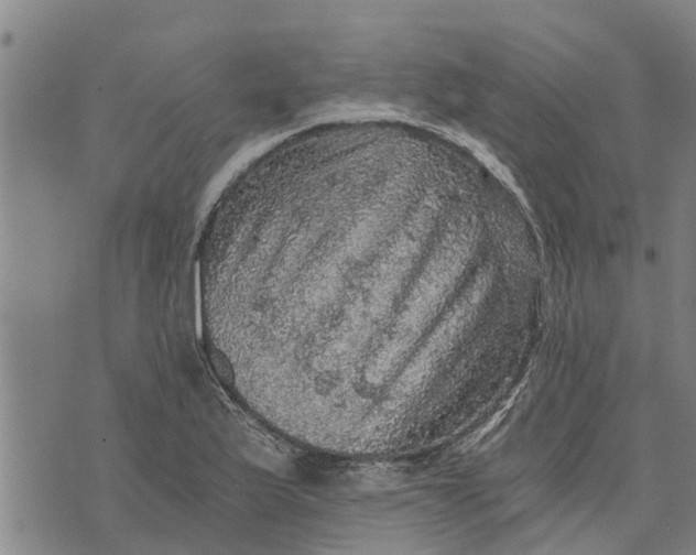 X0000073751175200608241339