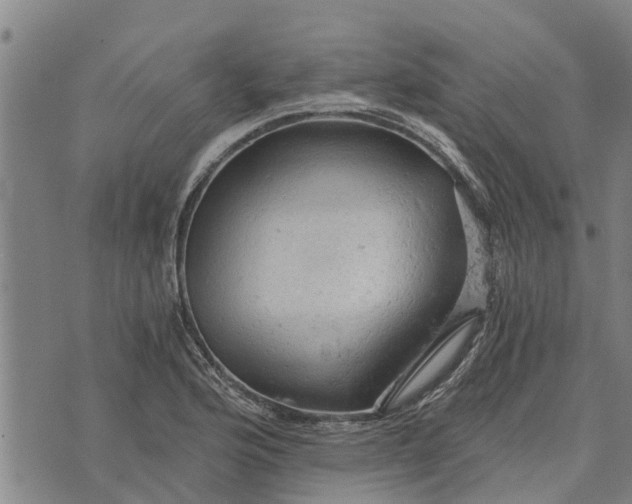 X0000073751176200608241339