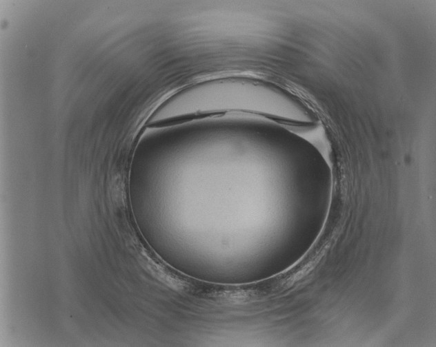 X0000073751177200608241339