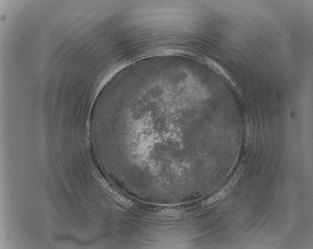 X0000073751178200608241339