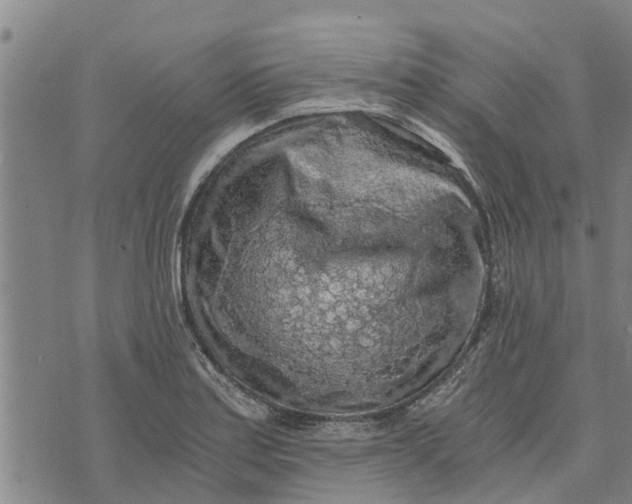 X0000073751179200608241339