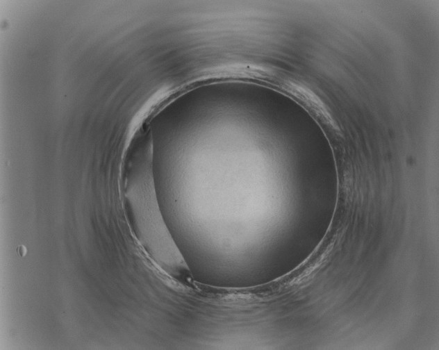 X0000073751180200608241339