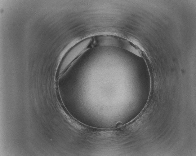 X0000073751181200608241339