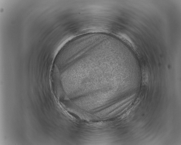 X0000073751182200608241339