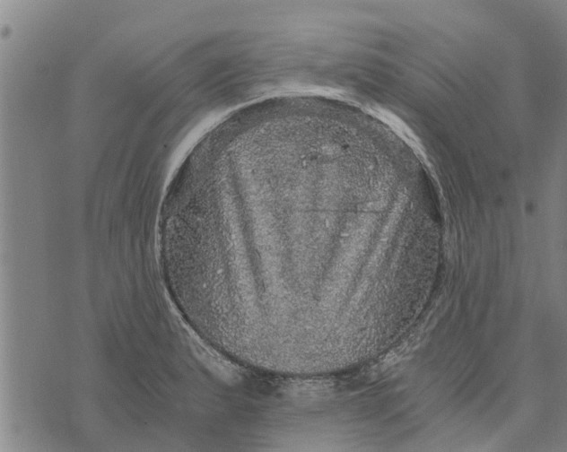 X0000073751183200608241339