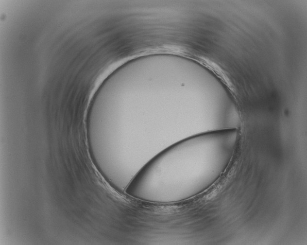 X0000073751184200608241339