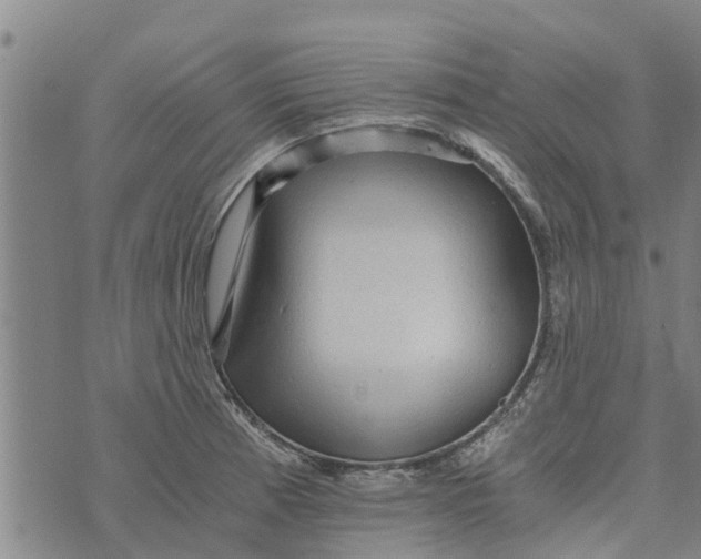 X0000073751185200608241339