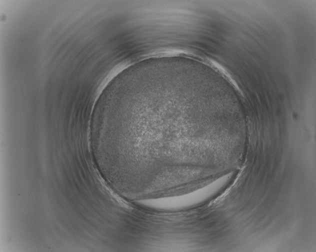 X0000073751186200608241339