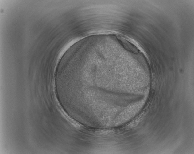 X0000073751187200608241339