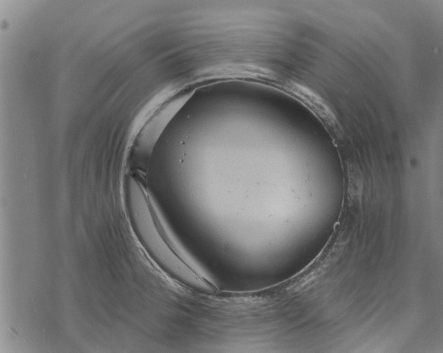 X0000073751188200608241339