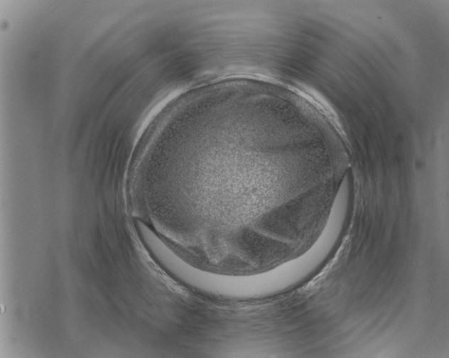 X0000073751190200608241339