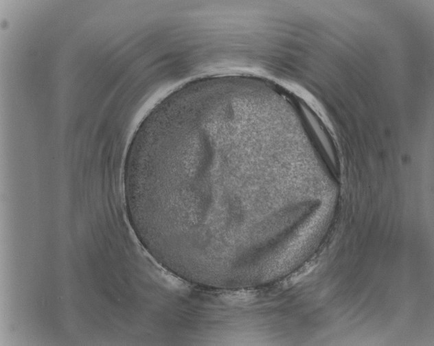 X0000073751191200608241339