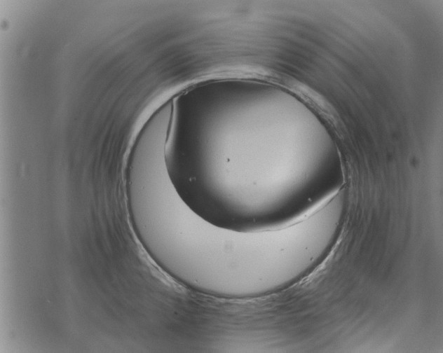 X0000073751192200608241339