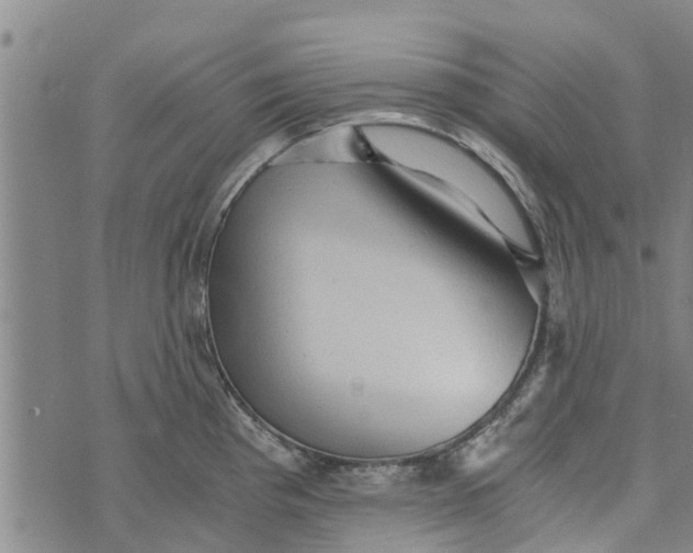 X0000073751193200608241339