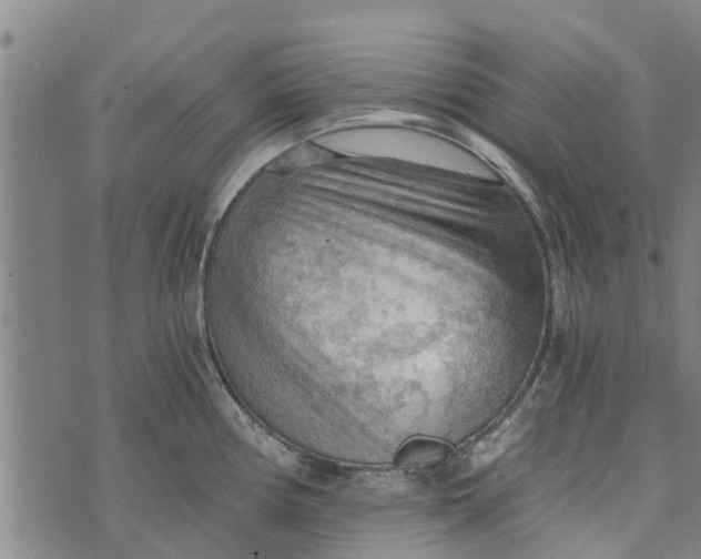 X0000073751194200608241339