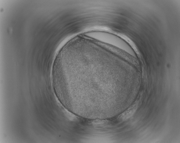 X0000073751199200608241339