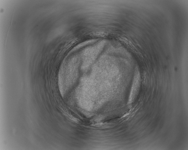 X0000073751201200608241338