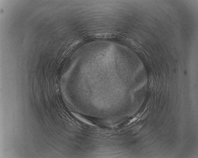 X0000073751202200608241338