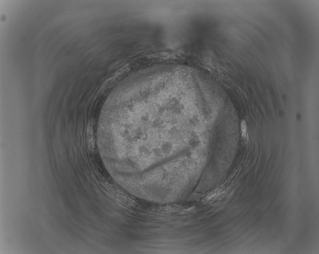 X0000073751203200608241338