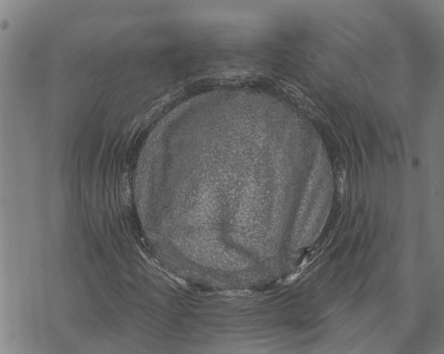 X0000073751204200608241338