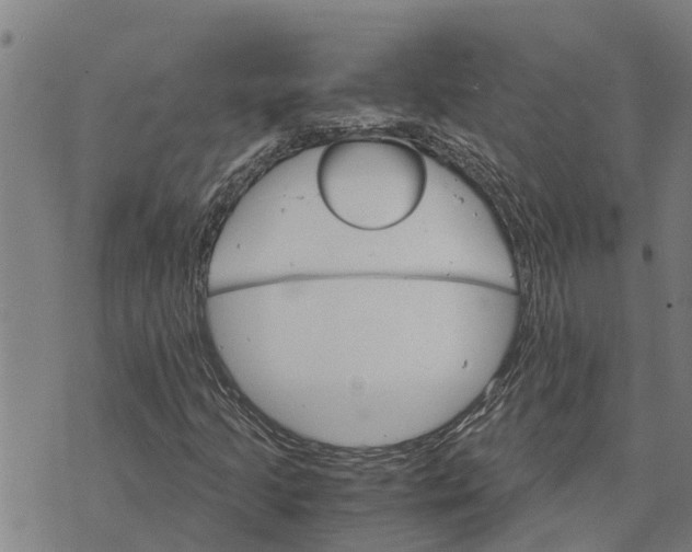 X0000073751205200608241338