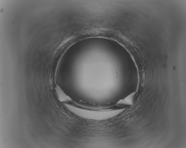 X0000073751206200608241338