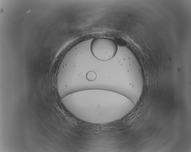 X0000073751208200608241338