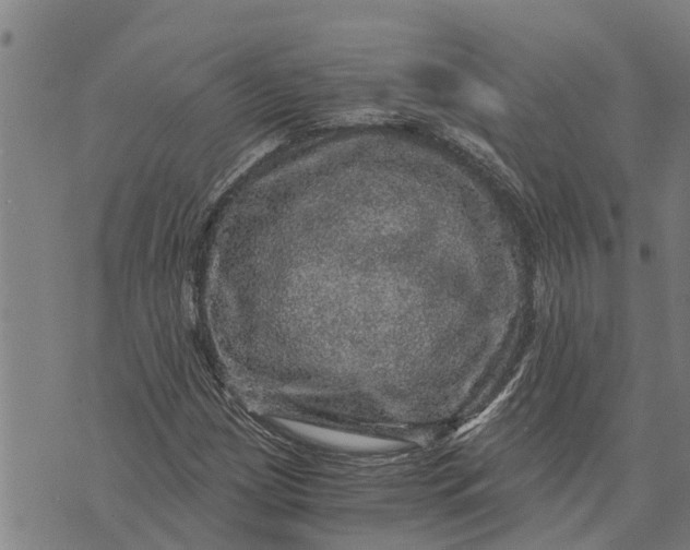 X0000073751209200608241338