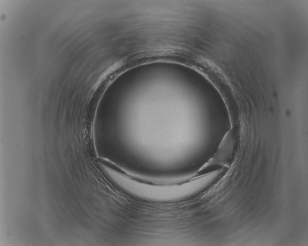 X0000073751210200608241338