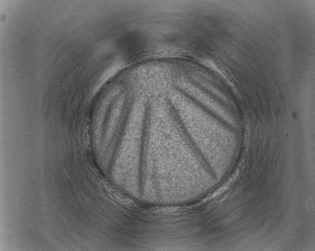 X0000073751211200608241338