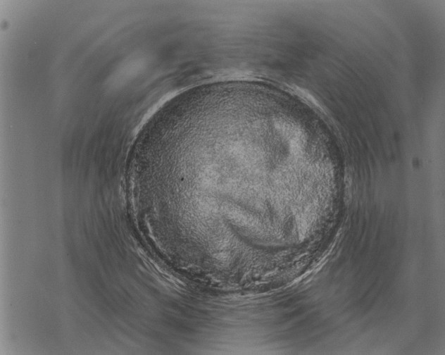 X0000073751212200608241338