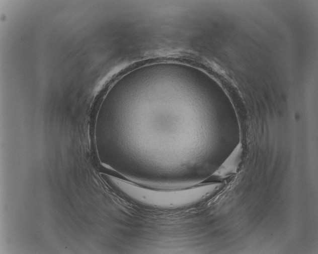 X0000073751214200608241338