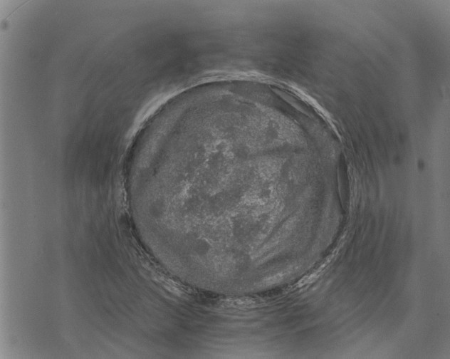 X0000073751215200608241339