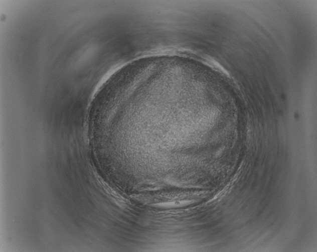 X0000073751216200608241339