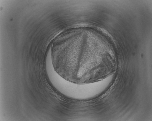 X0000073751217200608241339