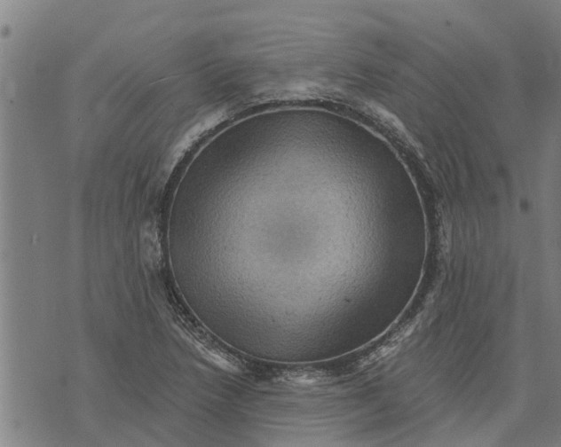 X0000073751218200608241339