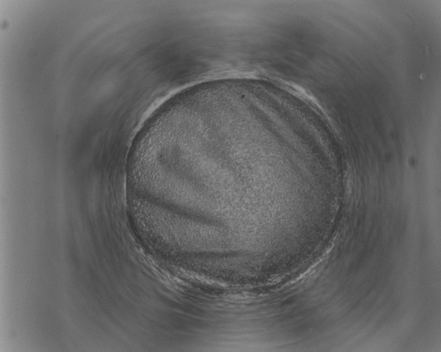 X0000073751220200608241339