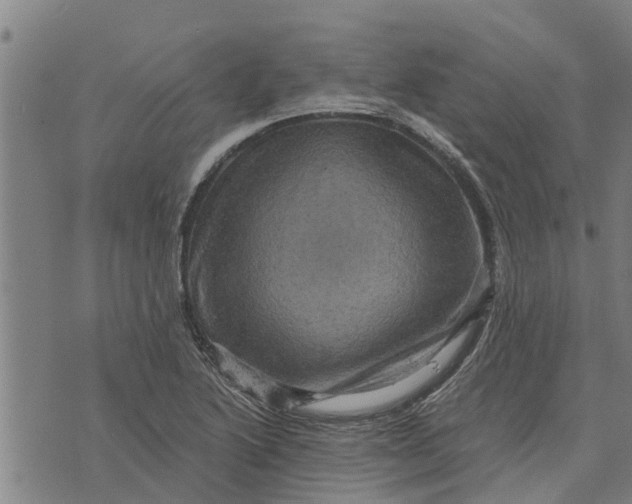 X0000073751222200608241339