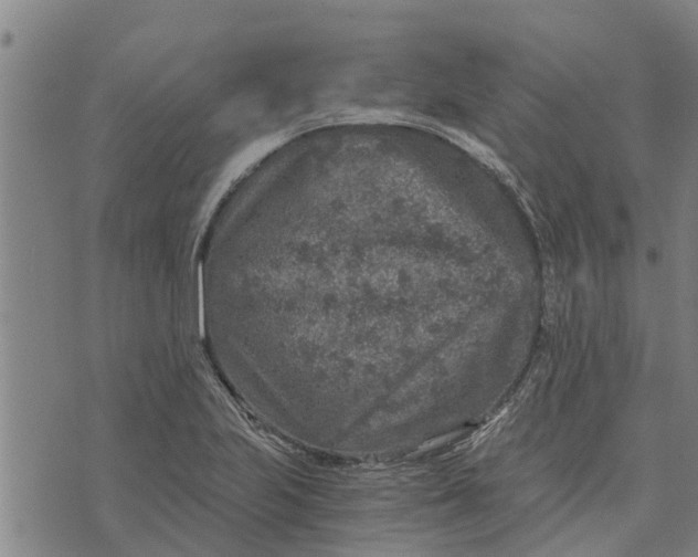 X0000073751223200608241339