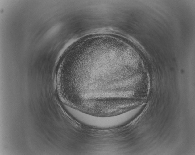 X0000073751224200608241339