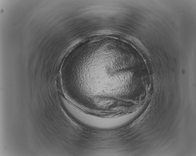 X0000073751225200608241339