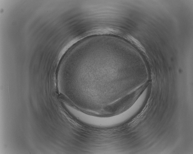 X0000073751226200608241339