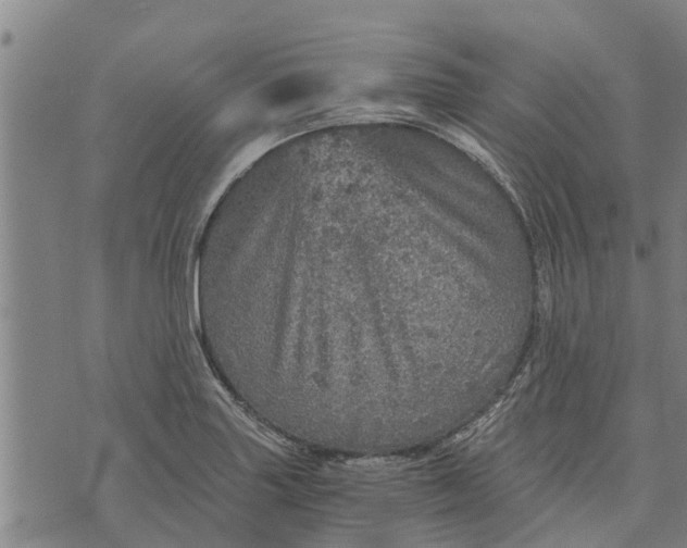 X0000073751227200608241339