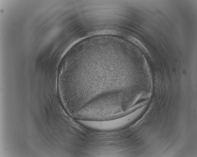 X0000073751228200608241339