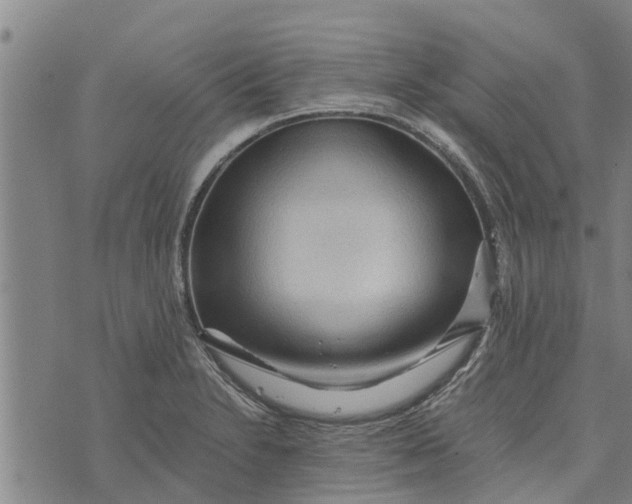 X0000073751230200608241339