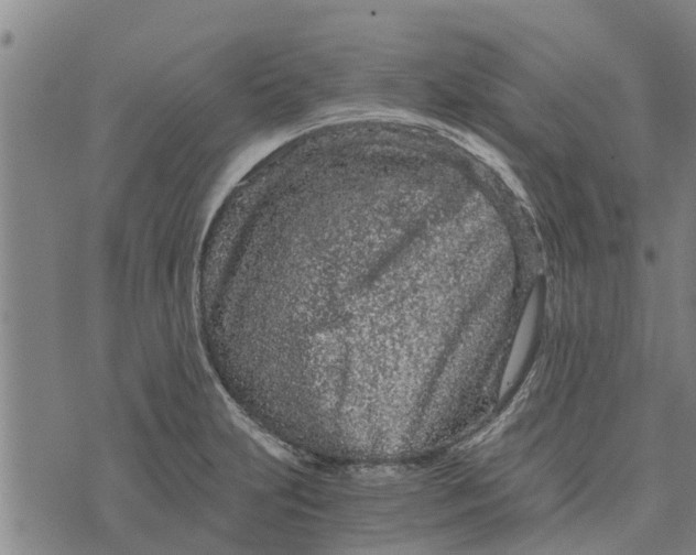 X0000073751231200608241339