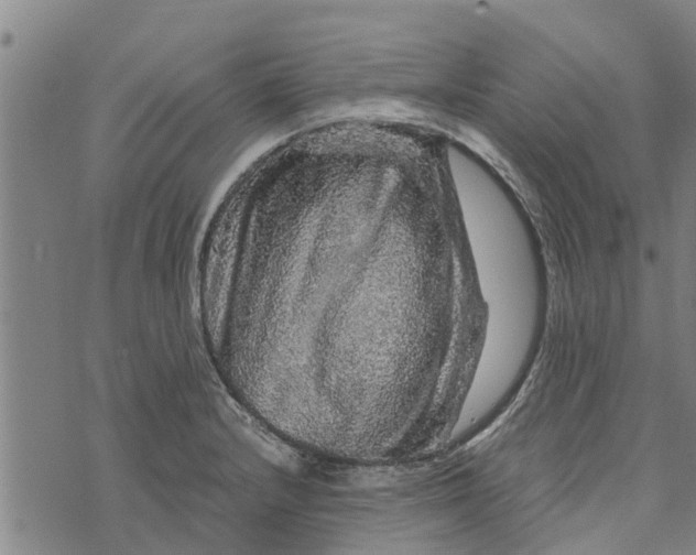 X0000073751232200608241339