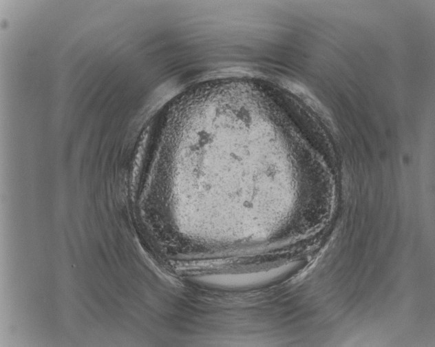 X0000073751233200608241339