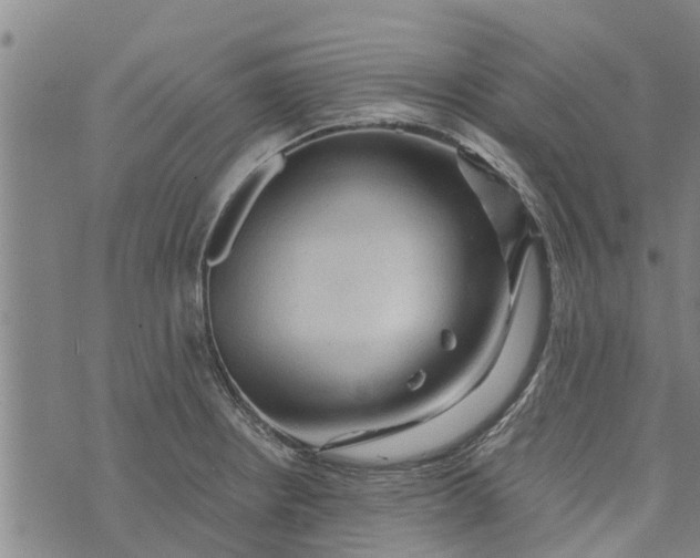 X0000073751234200608241339