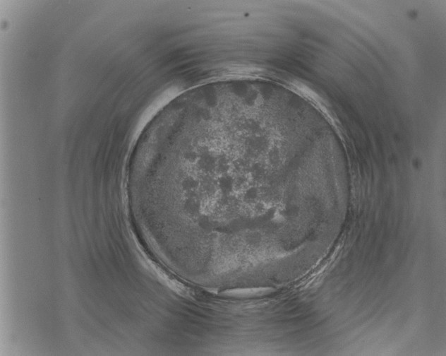 X0000073751235200608241339